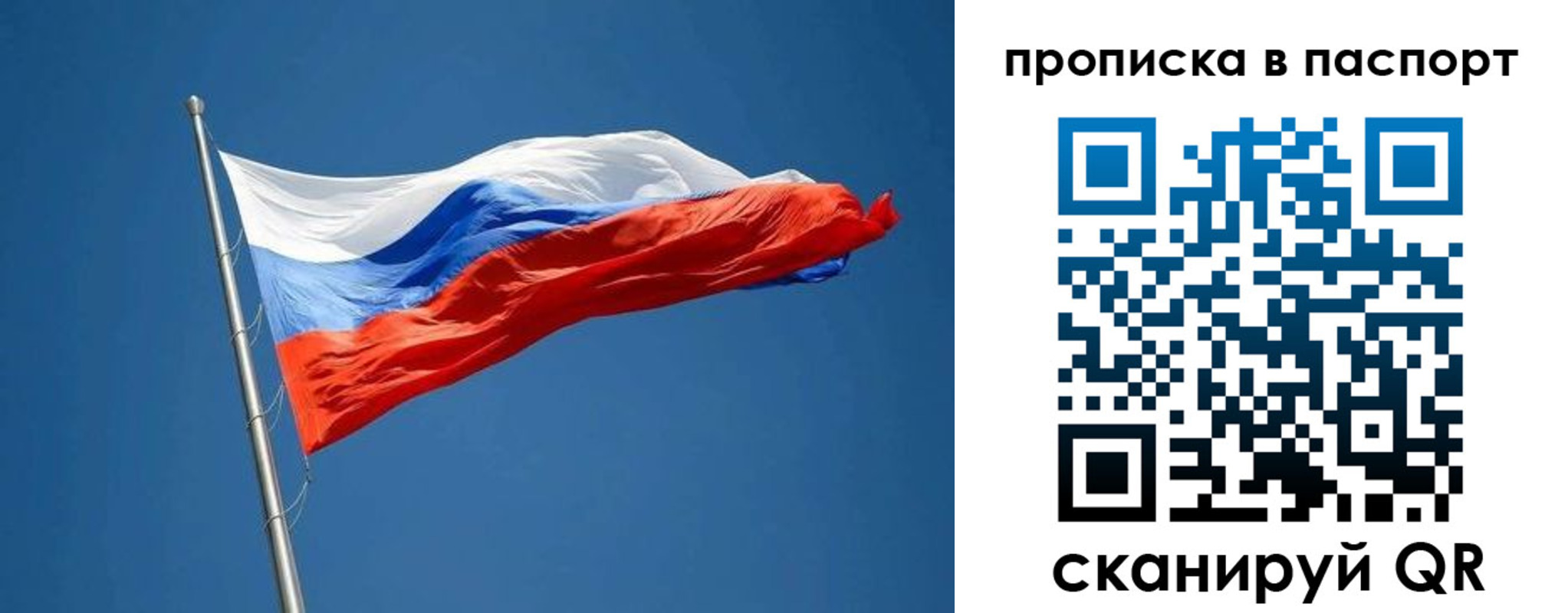 прописка паспорт в Полярных Зорях